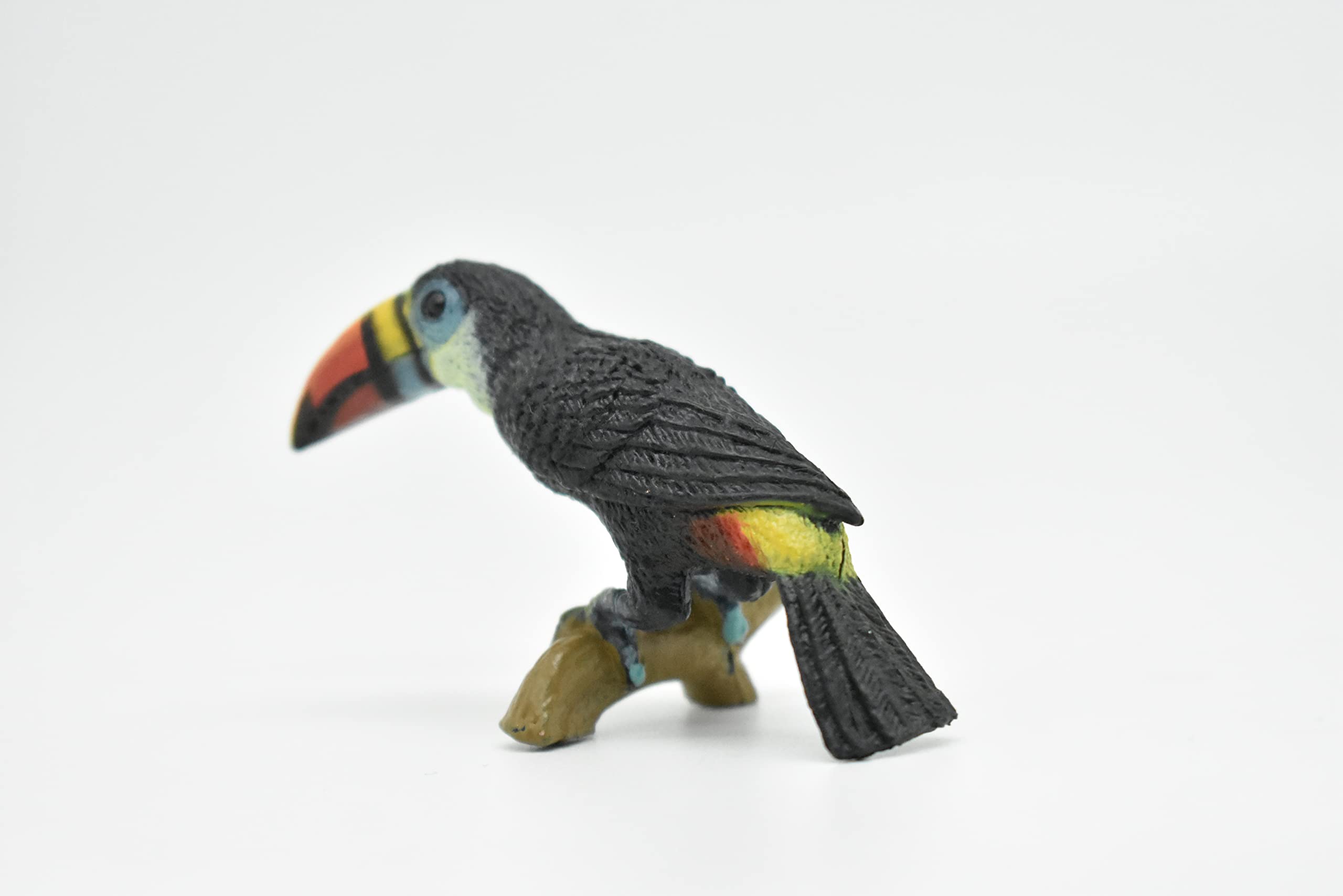 Amazon.com: Toucan, Museum Quality, Realistic, Plastic, Bird